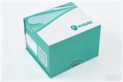 RCL Gene Copy Number Assay Kit [HYV006]
